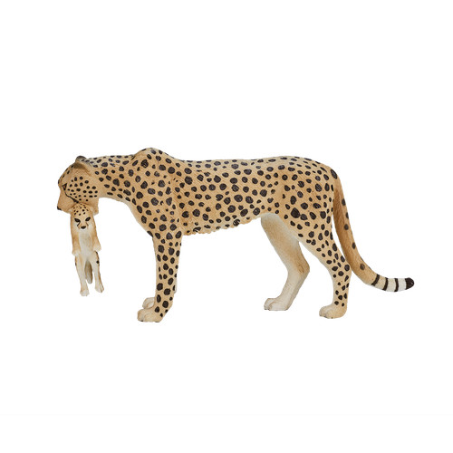 Mojo cheetah cub wild - cub, zoo