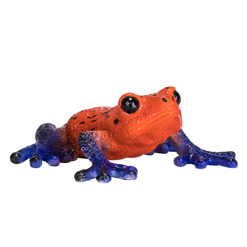 Mojo poison dart tree frog - mojo,