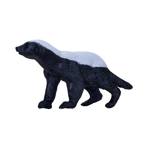 Honey badger wild zoo animals - zoo,