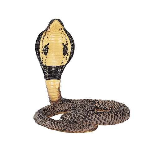 King cobra wild zoo - cobra,