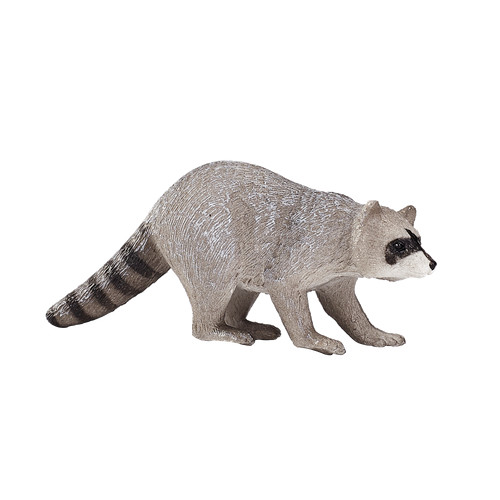 Mojo raccoon wild - .mojo,