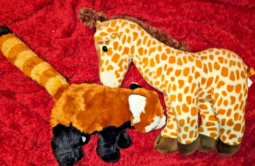 Zoo soft toys - , panda