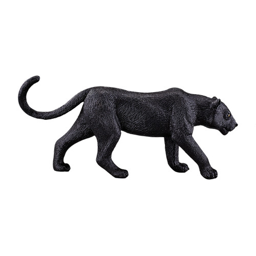 Mojo black panther - black, wild