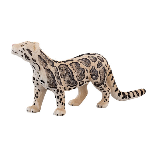 Clouded leopard wild - leopard, zoo
