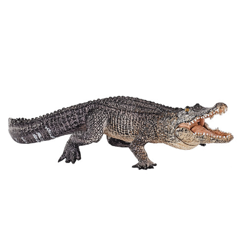 Mojo alligator moving jaw - moving, wild