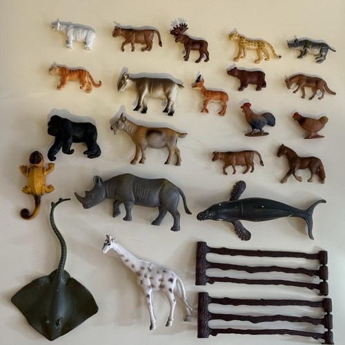 Collection zoo safari ocean - safari,