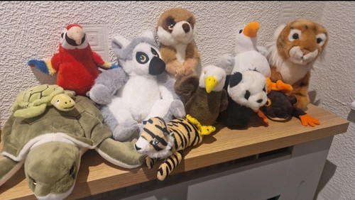 Big bundle wild zoo - wild, animals
