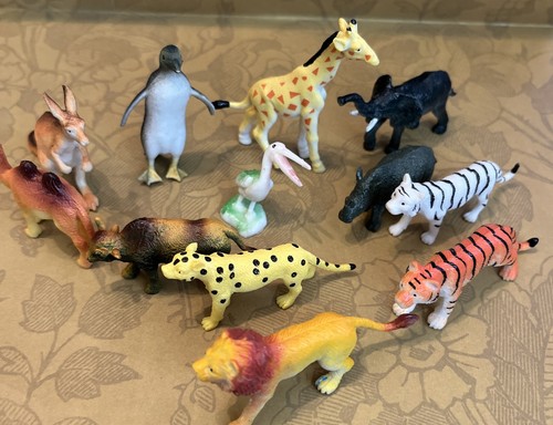 Safari zoo wild animals - zoo, bundle