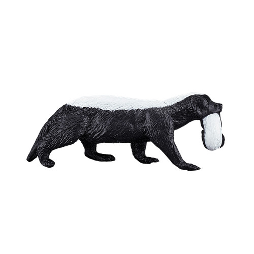 Mojo honey badger cub wild - &,