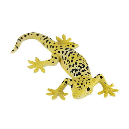 Leopard gecko wild zoo - wild,