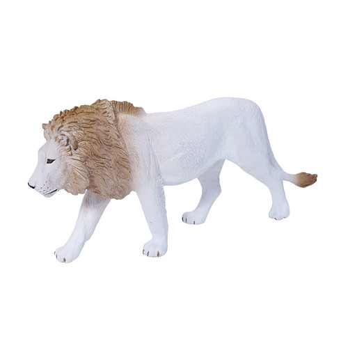 Male white lion wild - lion,