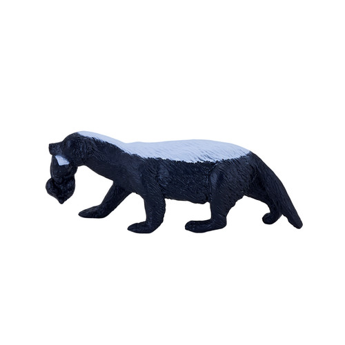 Honey badger cub wild zoo - cub,