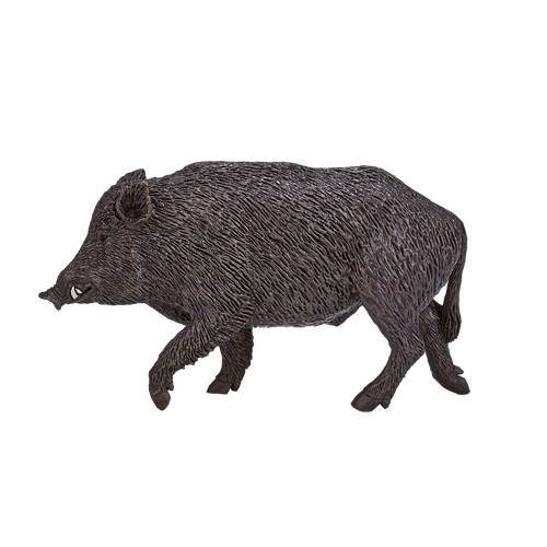 Mojo wild boar - wild,
