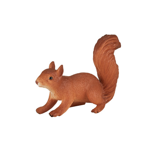 Mojo red squirrel wild zoo - red,
