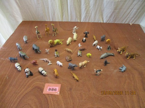 Collection zoo safari - zoo,,