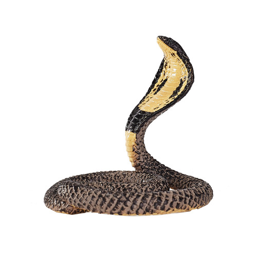 Mojo king cobra wild - mojo,