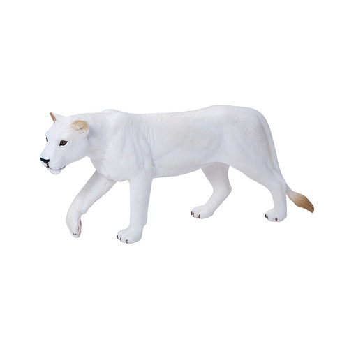 White lioness wild zoo animals - white,