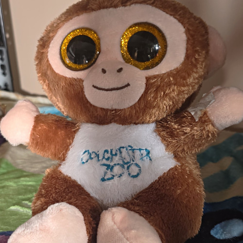 Colchester zoo small - colchester, plush