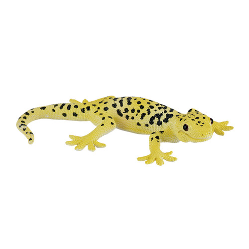 Mojo leopard gecko - gecko, wild