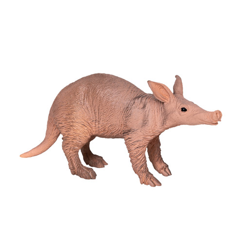 Aardvark wild zoo - aardvark, play