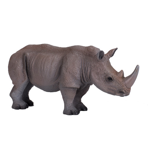 Mojo white rhinoceros wild - white, zoo