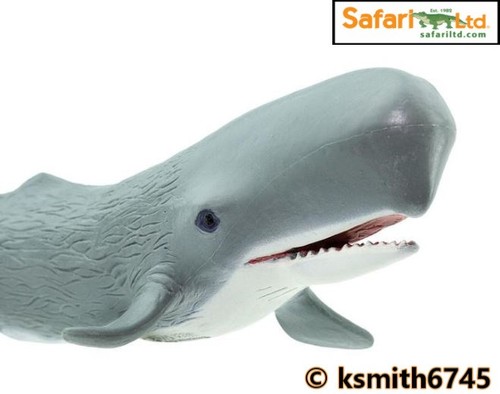 Safari ltd sperm whale - sperm,