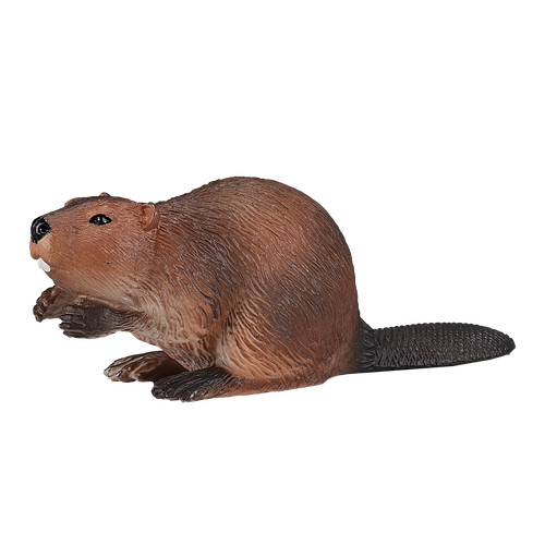 Mojo beaver wild - wild, zoo