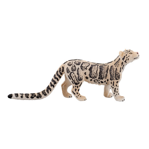 Mojo clouded leopard - leopard, zoo