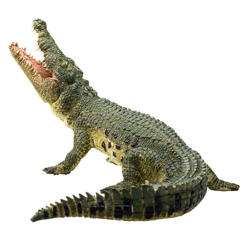 Mojo nile crocodile moving - mojo, jaw