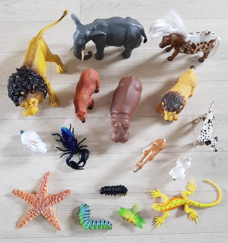 Animals insects scorpion - &,