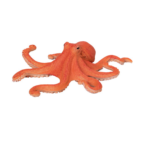 Mojo octopus wild zoo animals - wild,