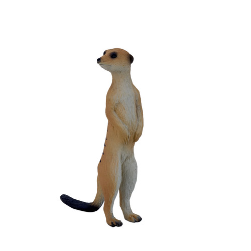 Mojo meerkat wild zoo - wild, animals