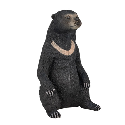 Mojo sun bear wild zoo - mojo,