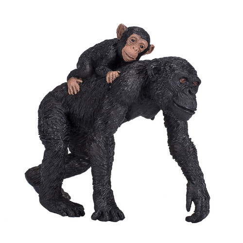 Chimpanzee with baby wild zoo - with,