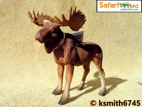 Safari ltd bull moose - safari,