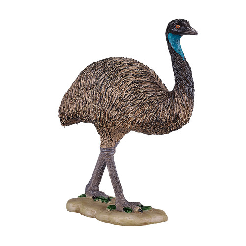 Mojo emu wild zoo animals - wild, play