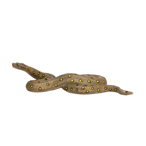 Green anaconda wild - anaconda, zoo