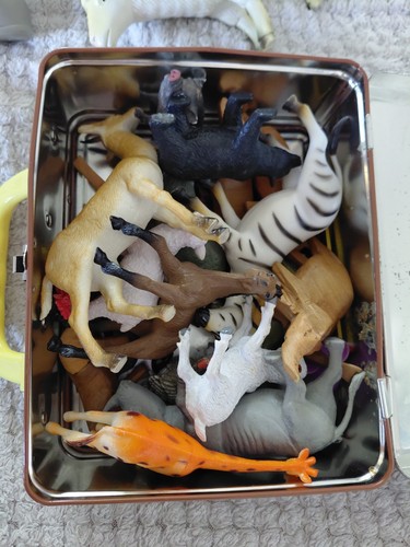 Wild zoo safari animals - safari, toys