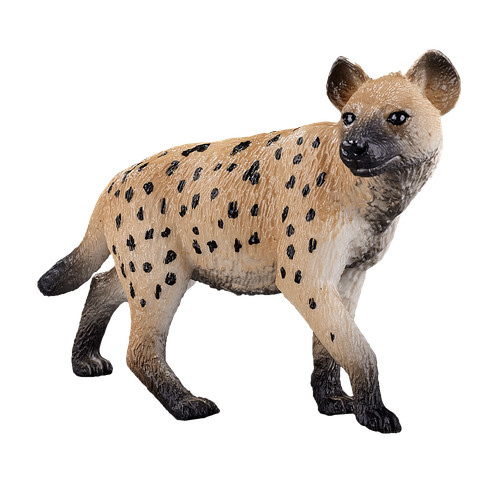 Mojo hyena wild - hyena,