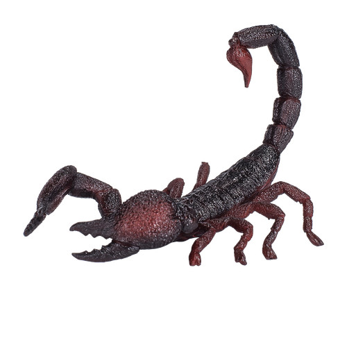 Mojo emperor scorpion - emperor, zoo